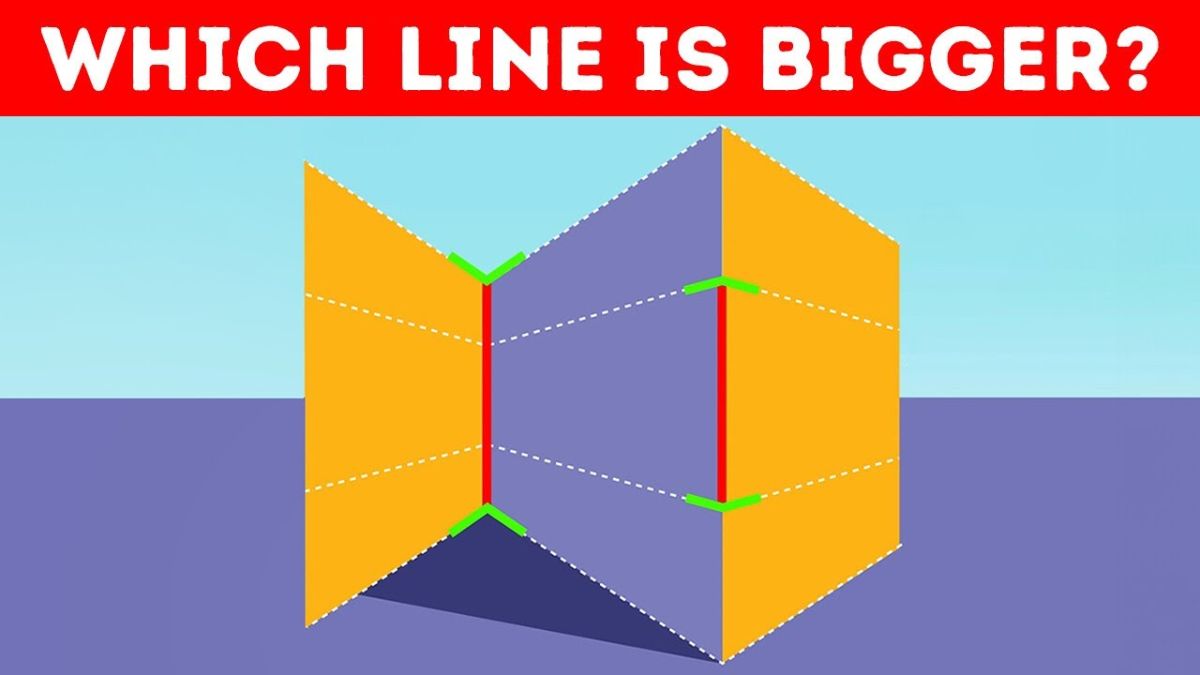 99% Failed! Are You Among The Top 1% High IQ and Exceptionally Observant To Tell Which Line Is Bigger In 25 Seconds?