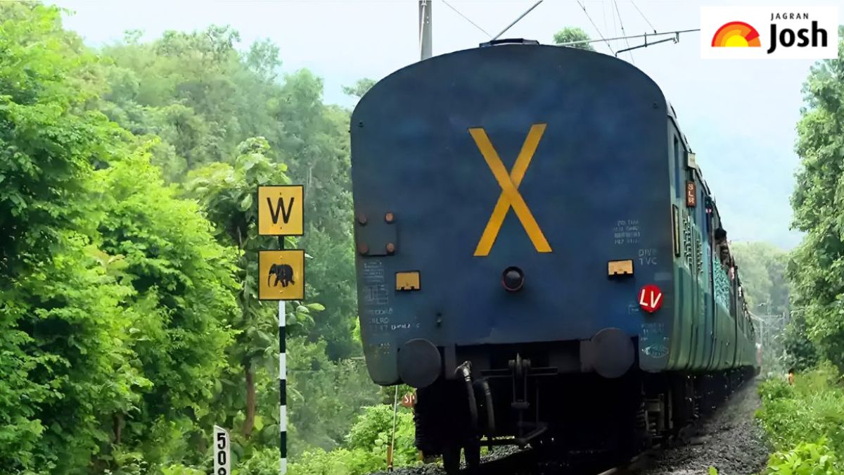 ट्रेन के अंत में क्यों लिखा होता है ‘X’, जानें जवाब
