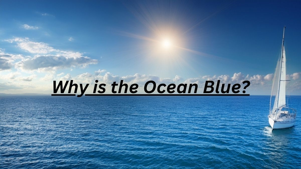 Explain: Why is the Ocean Blue?
