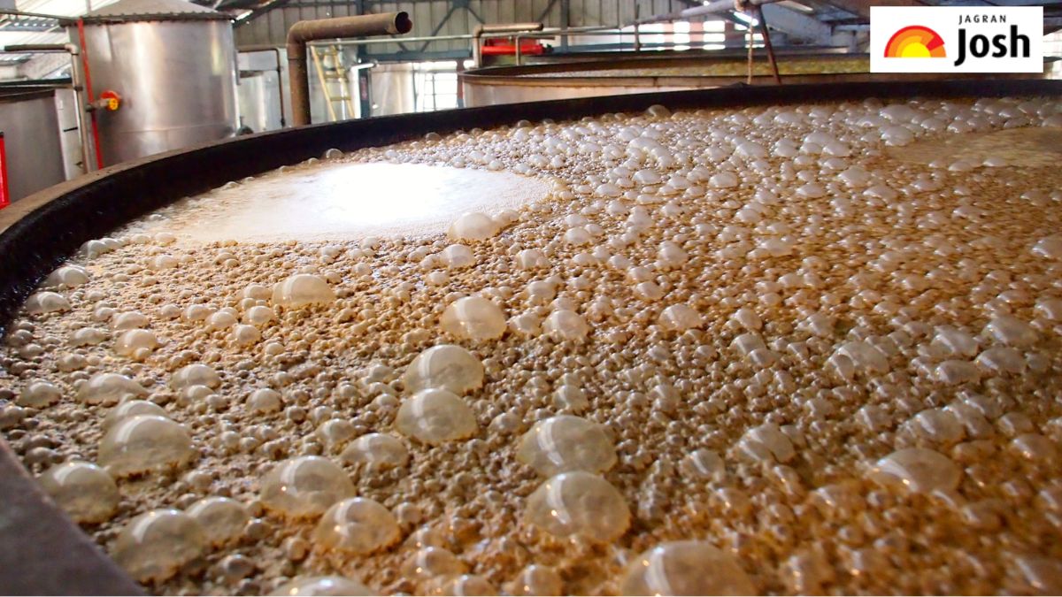 भारत के किस राज्य को कहा जाता है 'मोलासेस बेसिन', जानें