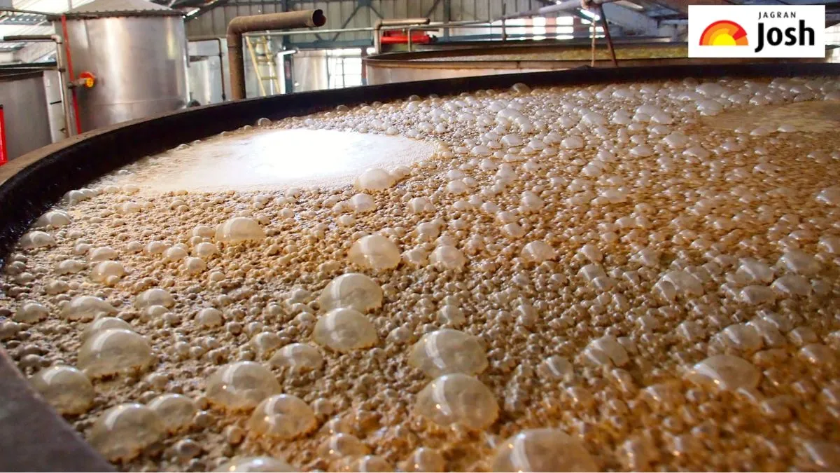 मोलासेस बेसिन