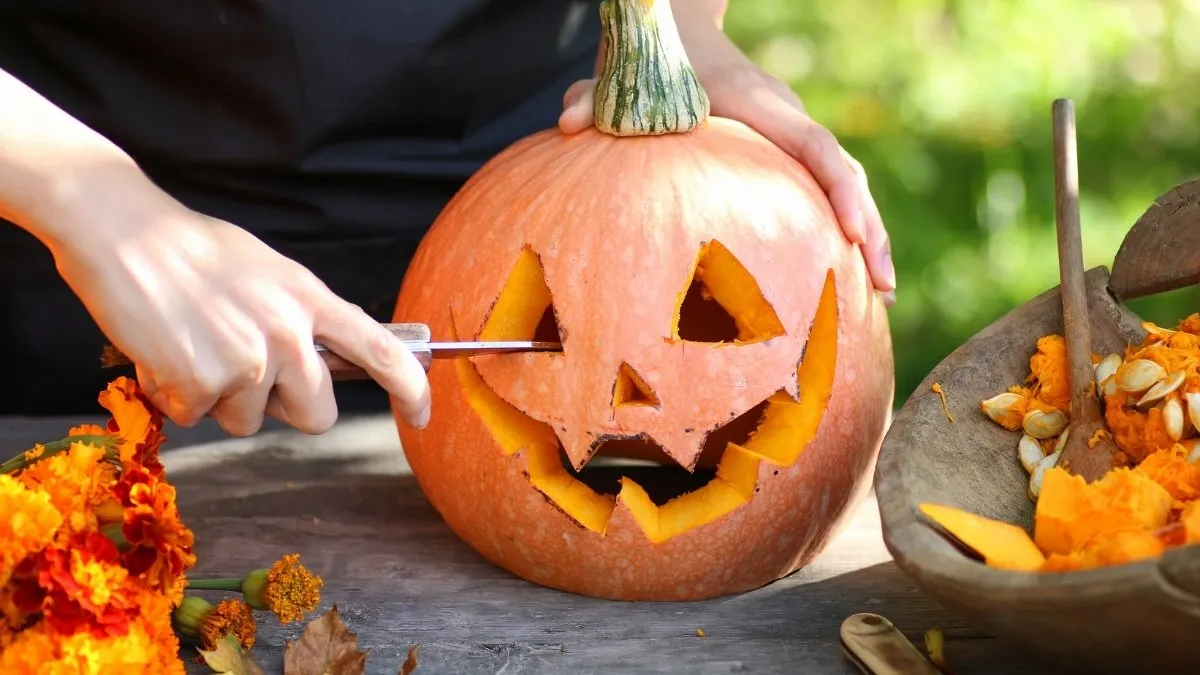 Best 9 Pumpkin Carving Ideas for Beginners