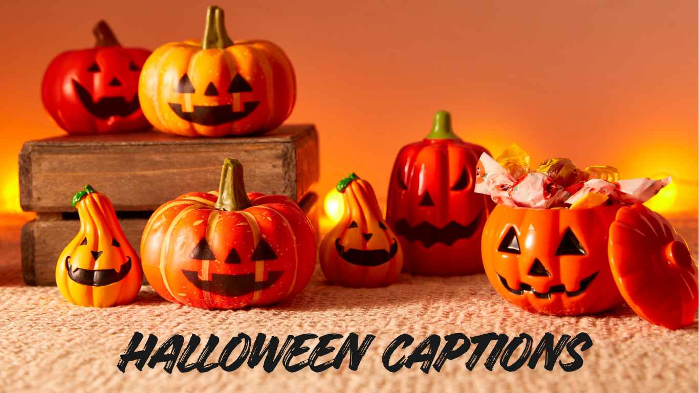200+ Halloween Captions, Quotes to Share on Instagram, WhatsApp and Facebook for Students and Kids