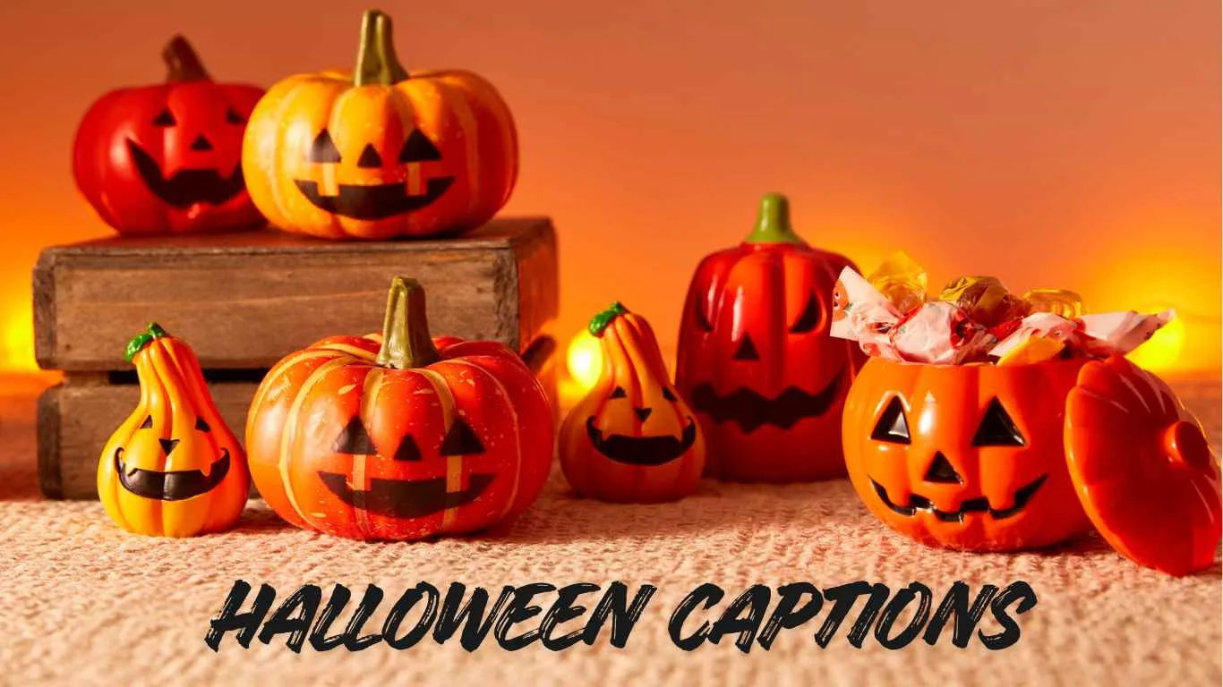 200+ Halloween Captions, Quotes to Share on Instagram, WhatsApp and Facebook for Students and Kids