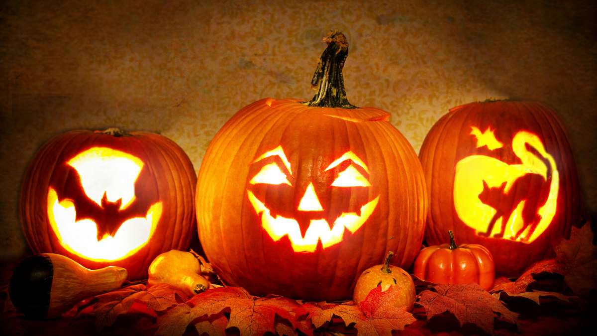 Jack-o’-Lantern Meaning and Origin Explained: The Real Story Behind the Jack-o’-Lantern Tradition
