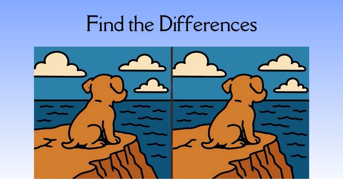 Spot the 3 Differences in Dog Sitting on a Cliff Beat the 31-Second Challenge!