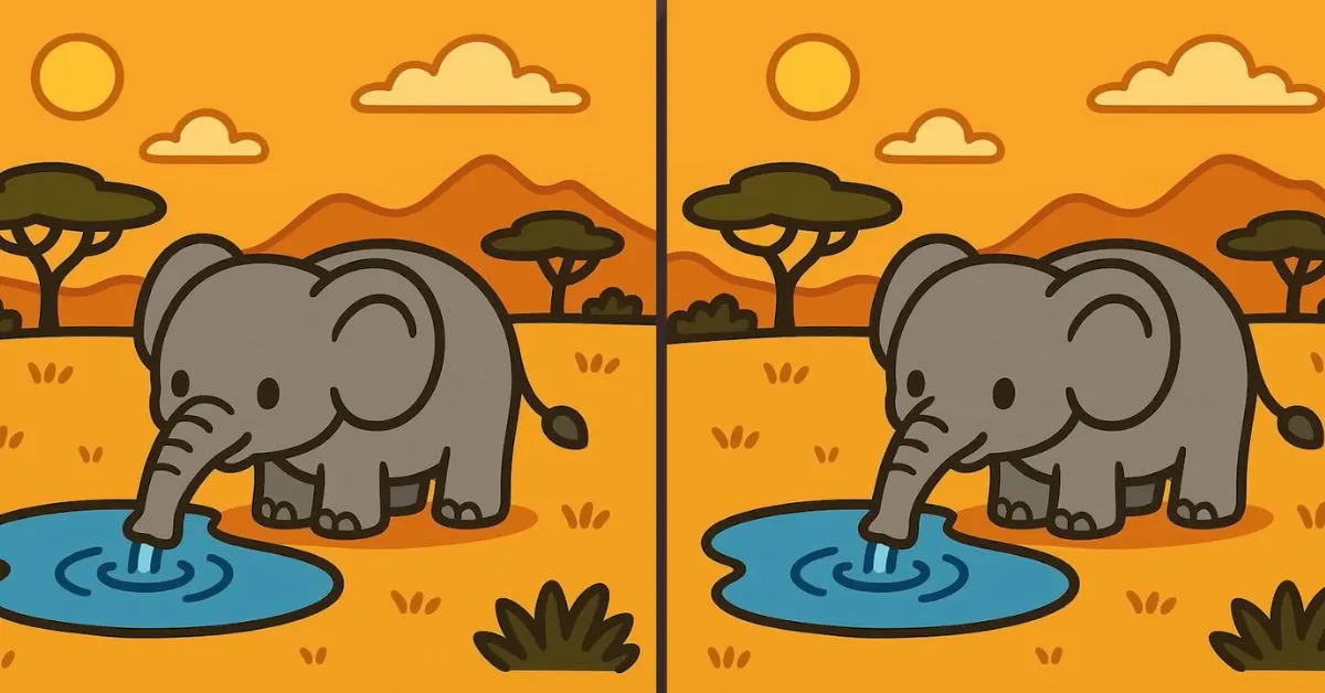 Find 3 Differences in Elephant Drinking Water