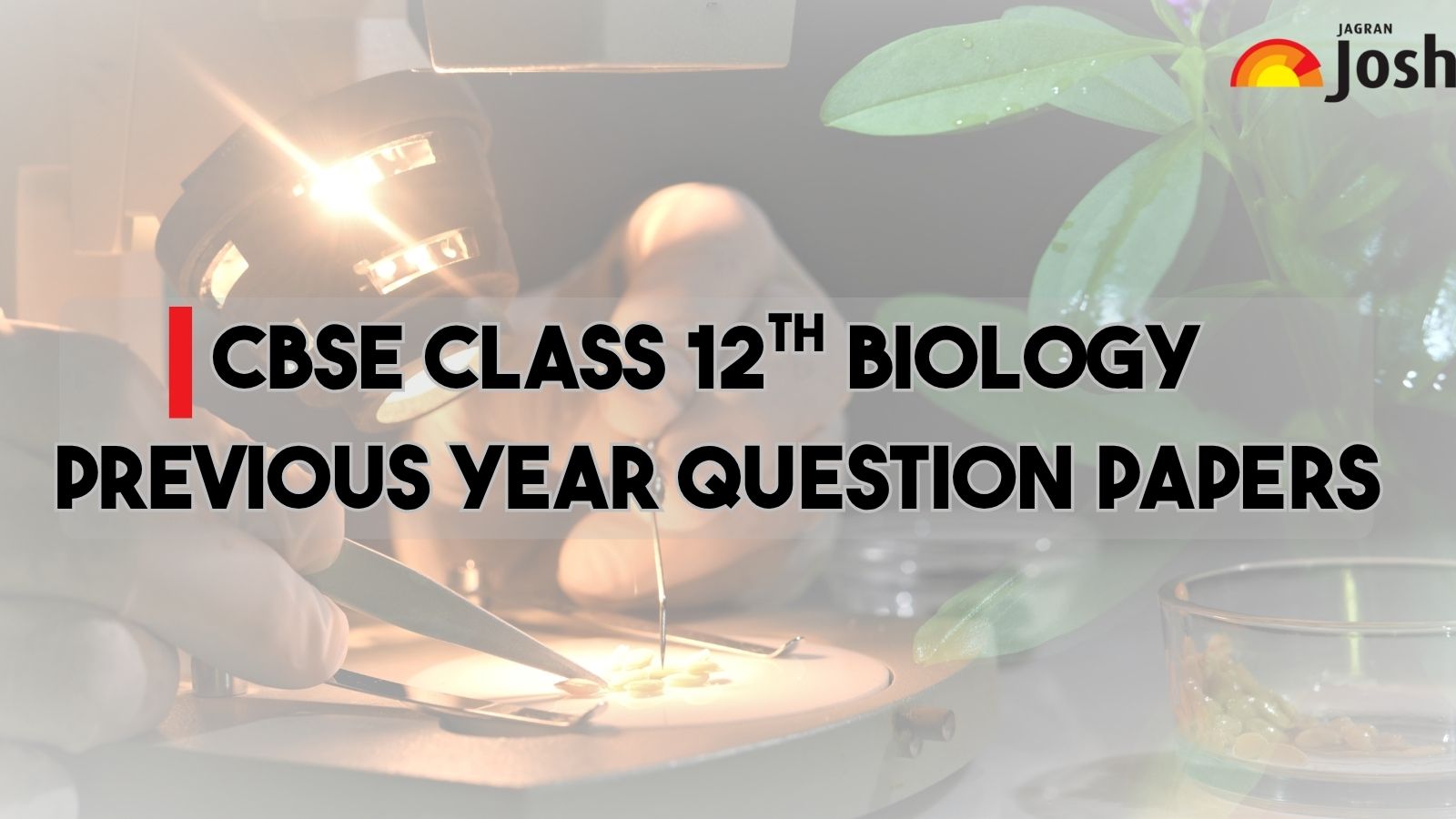 CBSE Class 12 Biology Previous Year Question Paper, Download Last 5 Year Papers PDF