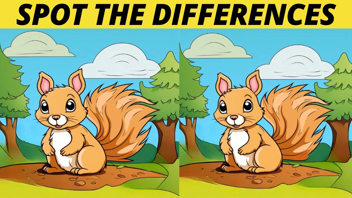 Spot 3 Differences in Squirrel Pictures in 23 Seconds!