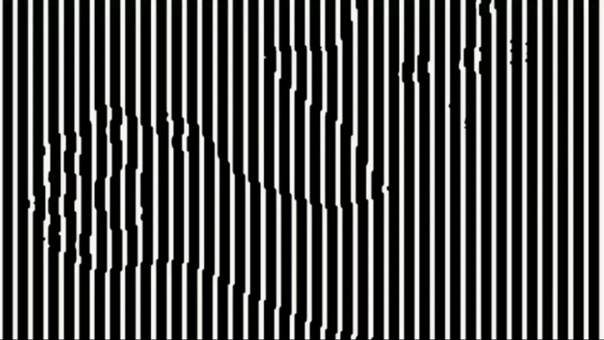 Is Your Visual IQ Off The Charts? Then Spot The Hidden Animal In This Black and White Striped Optical Illusion In 21 Seconds!
