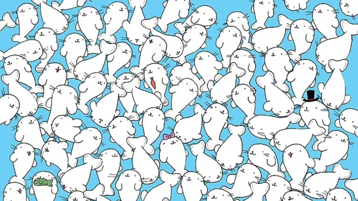 If You Possess Extremely Sharp Eyes and Laser Focus, Then Spot A Marshmallow Among Seals In 11 Seconds!