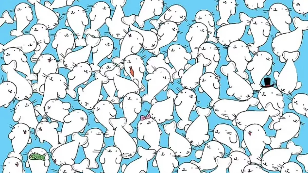 Find the marshmallow.