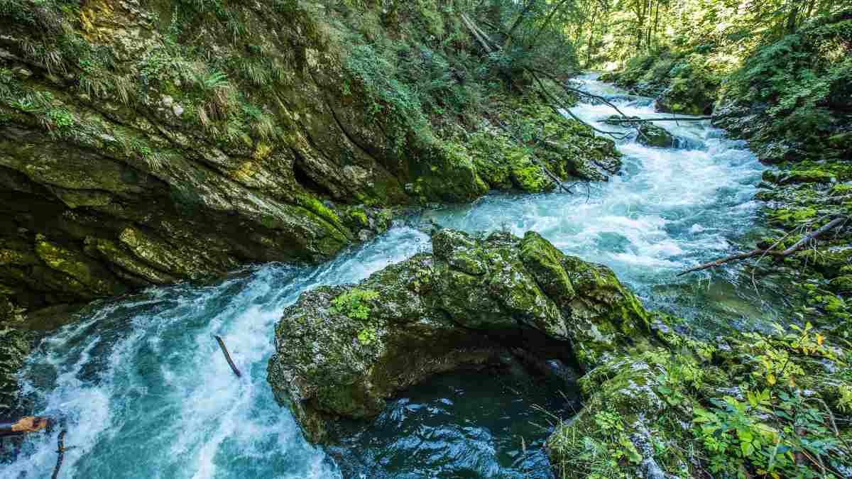 List of 7 Rivers That Flow Backward in the World
