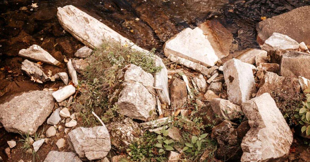 Put Your Super Vision to the Test: Spot the Hidden Spider in This Tricky Rock-Themed Optical Puzzle