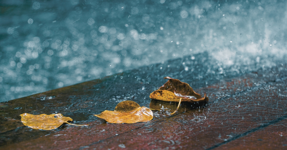 Do You Know What The Smell Of Rain Is Called?