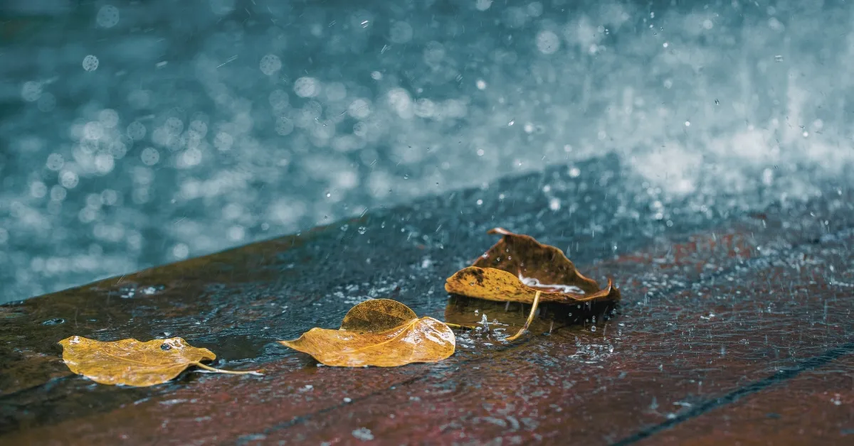 Do You Know What The Smell Of Rain Is Called?