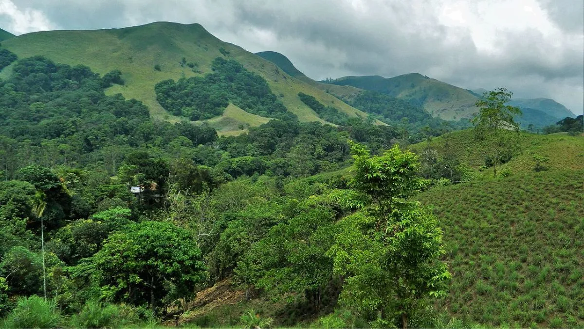 List of Biodiversity Hotspots in the World