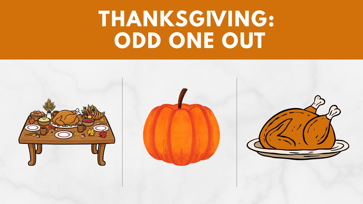 Only True Thanksgiving Lovers Can Spot the Odd One Out in 13 Seconds!