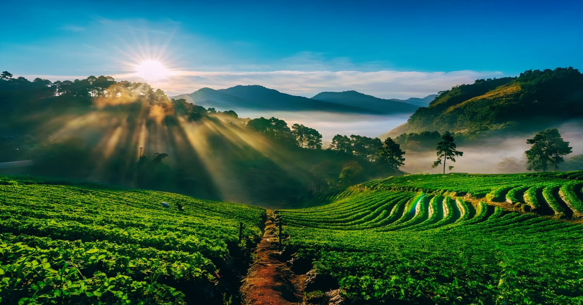 Which Place Is Known As The Scotland Of India?