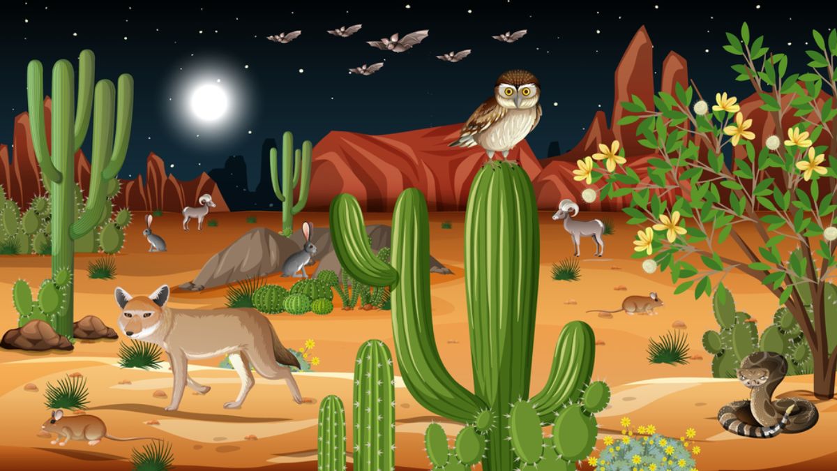 Nocturnal Animals: List of Creatures that have Best Eyesight in the World