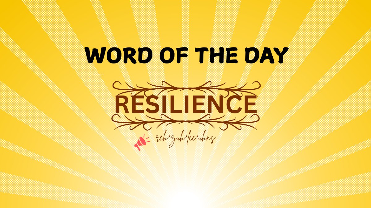 Word of the Day: Resilience