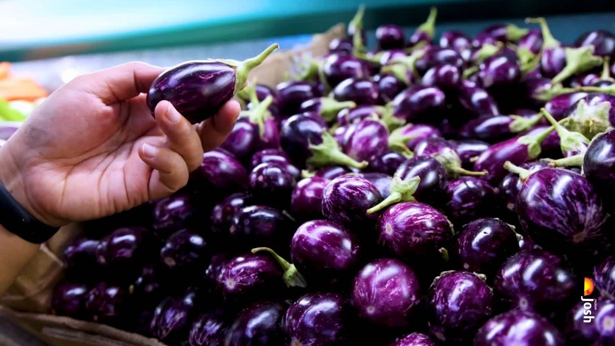 दुनिया में बैंगन का सबसे बड़ा उत्पादक देश कौन सा है? यहां देखें नाम
