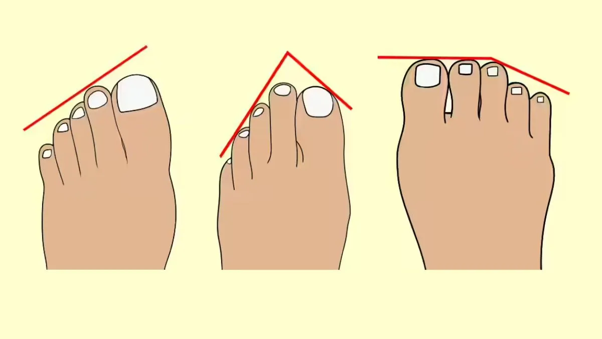 From left to right: Egyptian foot shape, Greek foot shape, and Roman foot shape.