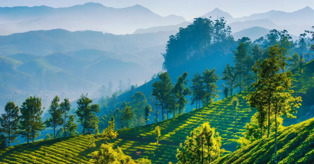 Which Place Is Known As The Queen Of Nilgiri?