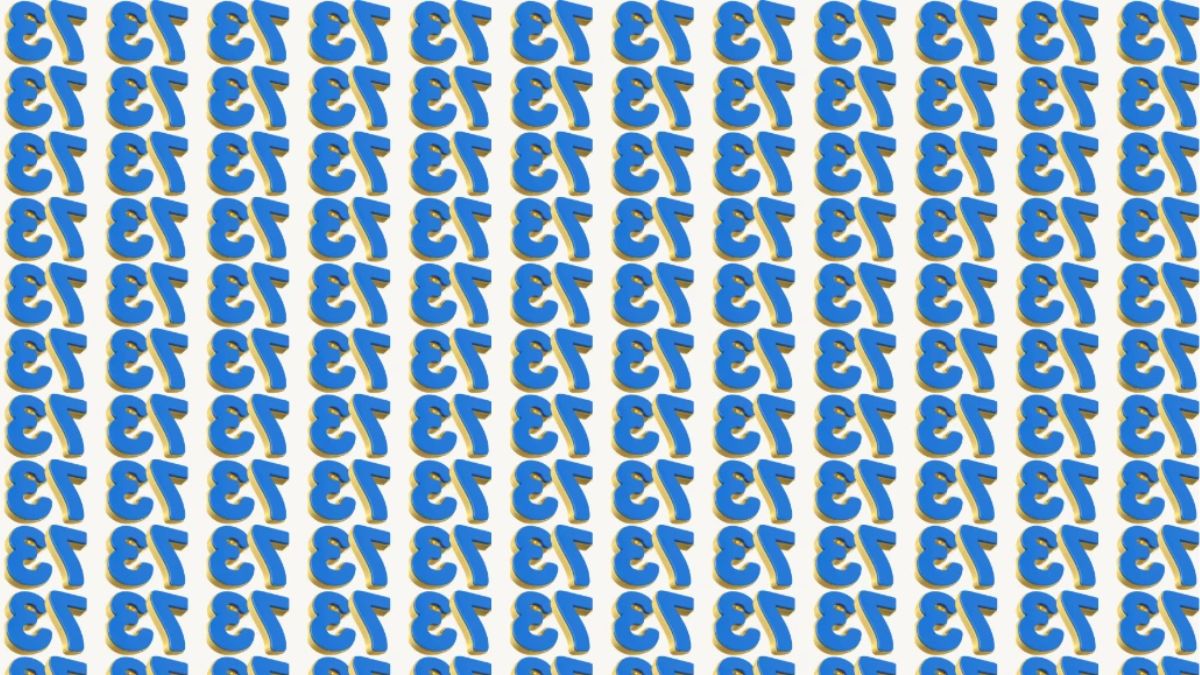 If You Possess HD Eye Vision, then Find The Inverted “75” Numbers Among the Inverted “73” Sequence Series
