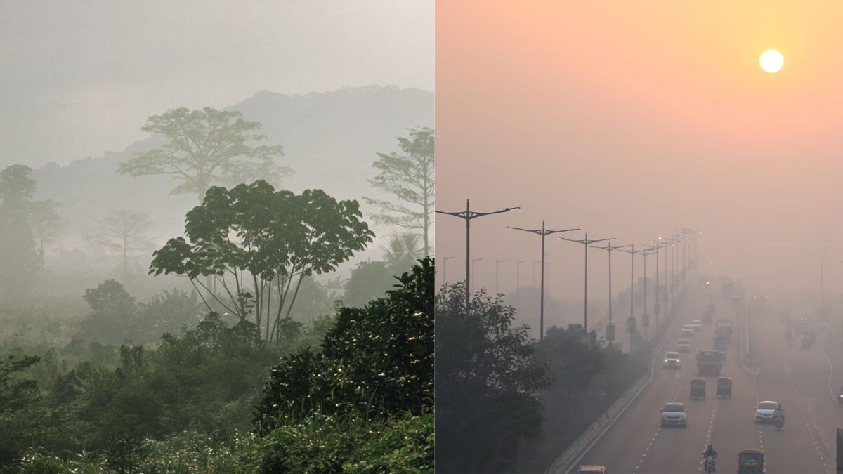 Fog Vs Smog: Check Here for all the Differences