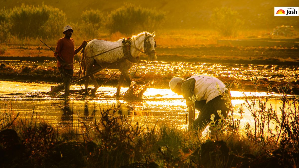 B.Sc Agriculture vs B.Tech Agriculture: Which Offers Better Careers?