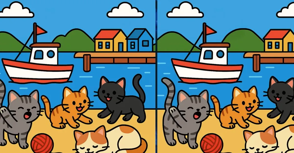 Find 3 Differences in Cats Playing on Dockyard