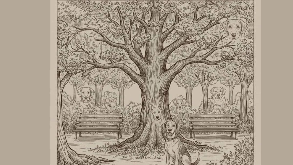How many dogs can you count in this optical illusion illustration set in a peaceful park?