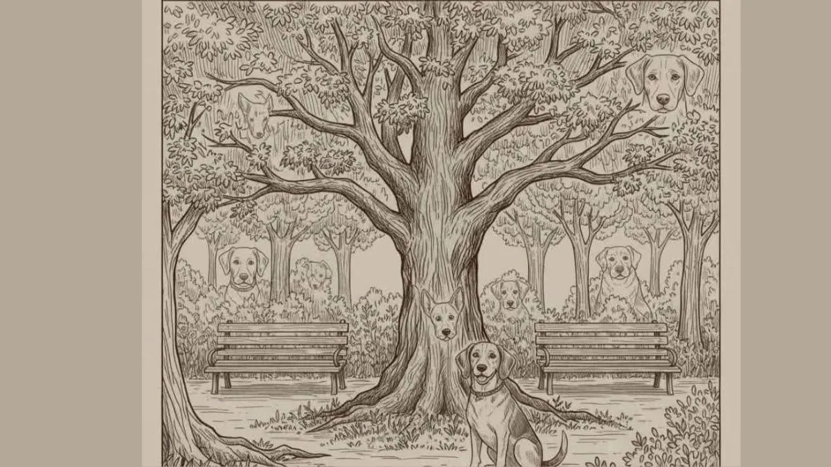 How many dogs can you count in this optical illusion illustration set in a peaceful park?
