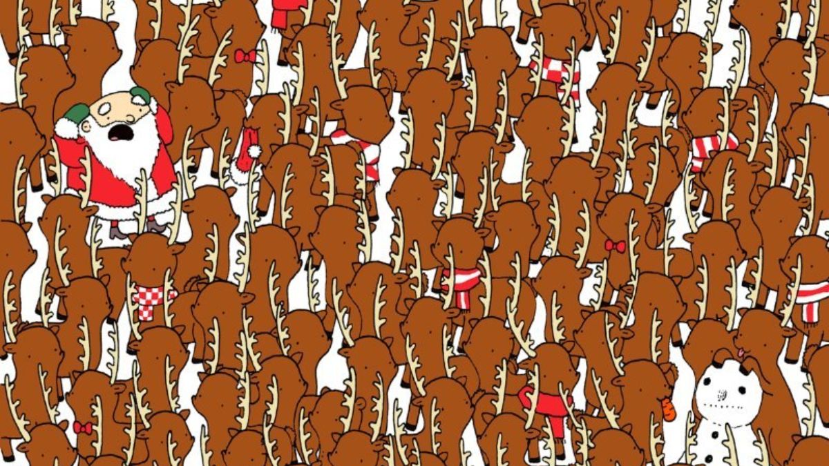 Challenge Your Observation Skills! Can You Spot A Rudolph Hidden Reindeers In 15 Seconds?