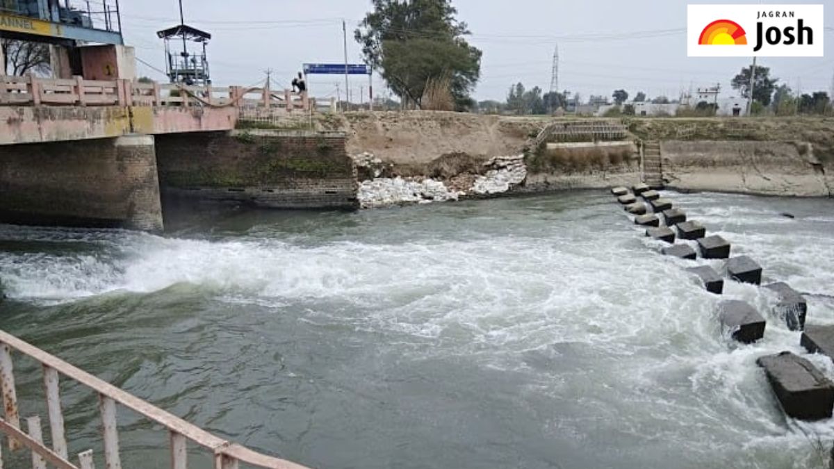 दिल्ली की सबसे लंबी नहर कौन-सी है, पढ़ें यहां