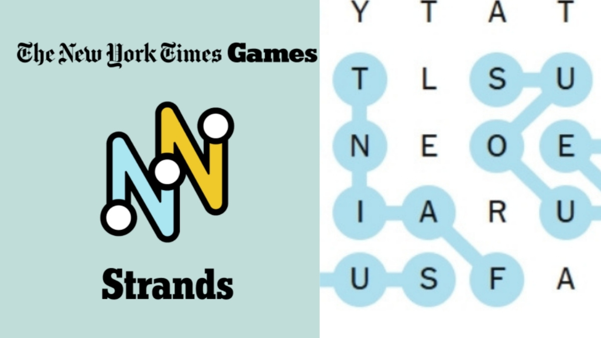 NYT Strands November 17, 2025 Monday's Theme: Check Spangram & Answers!