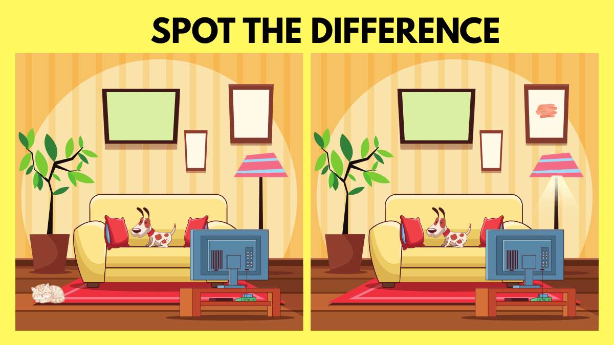 Spot the Difference: Find 3 Sneaky Differences in this Cozy Living Room in 12 Seconds!
