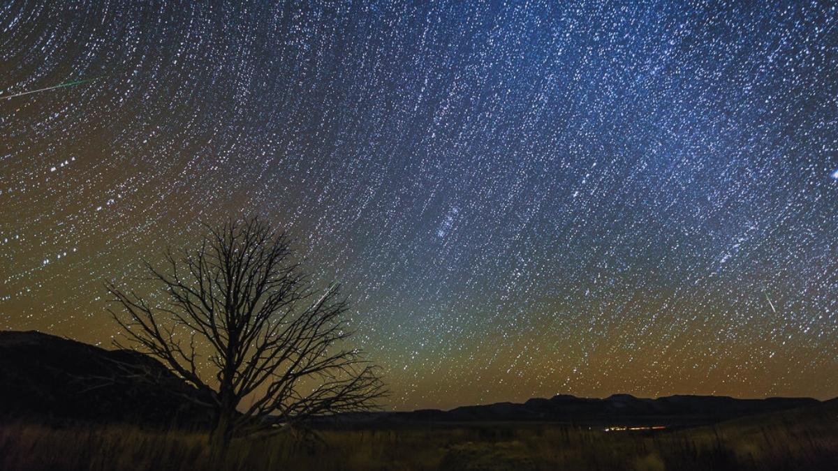Leonid Meteor Shower Tonight in U.S.: Time & Where to Watch?