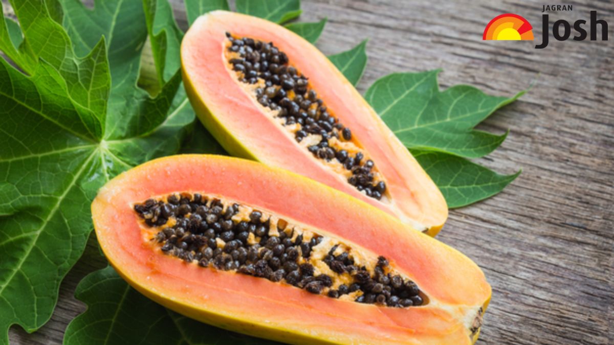 दुनिया में पपीते का सबसे बड़ा उत्पादक देश कौन-सा है, जानें नाम
