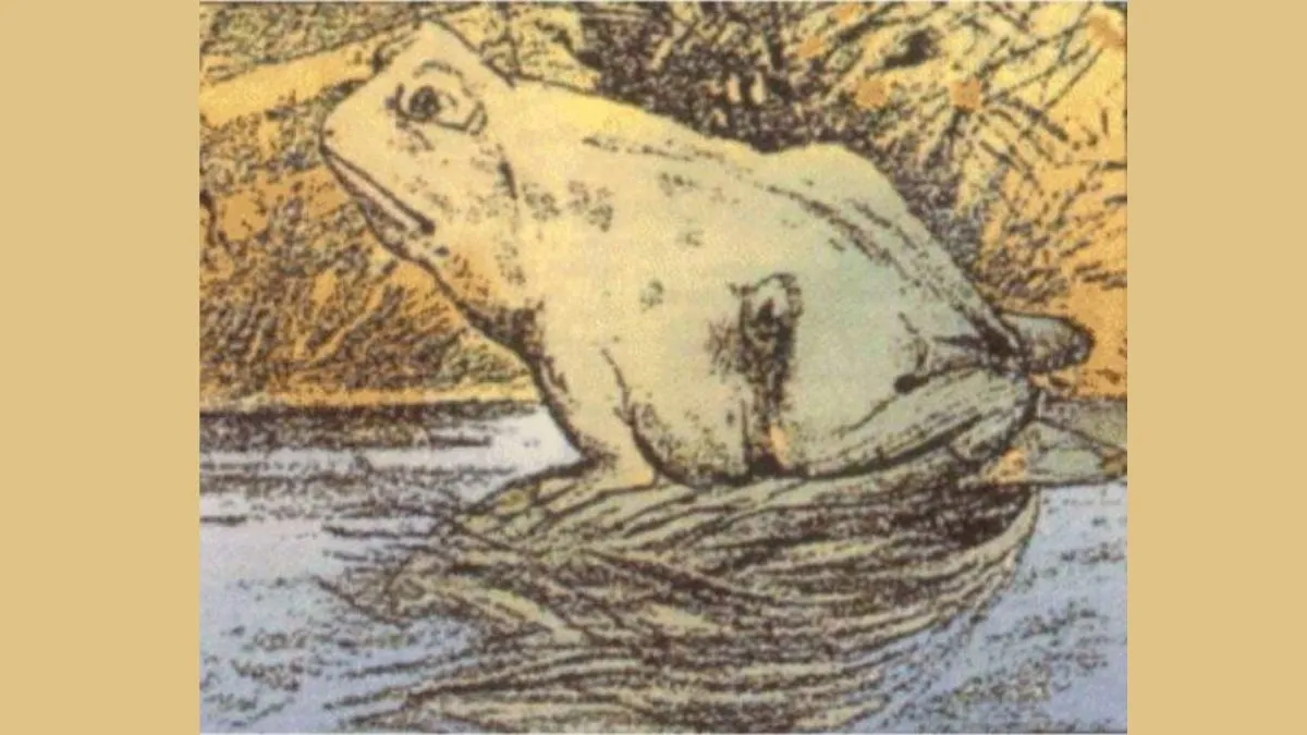 Find the Hidden Animal Using Your Double-Penetrating Eye Vision in this Classic Dual-Perception Reversible Figure Optical Illusion