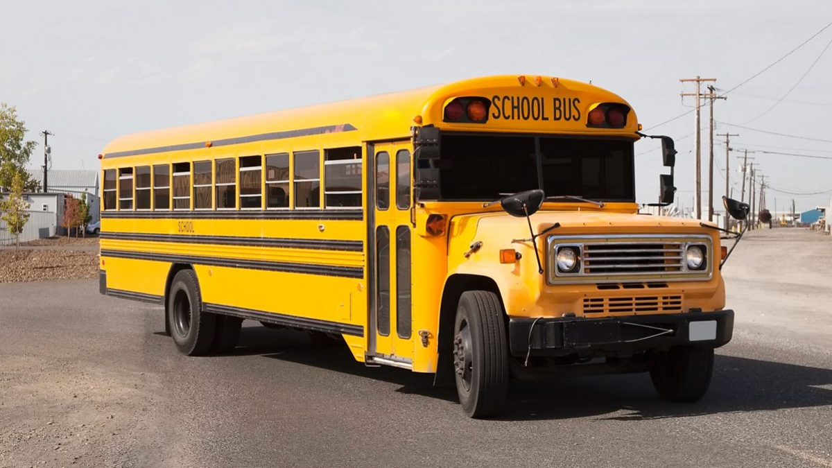 Why Are School Buses Yellow? Check Here