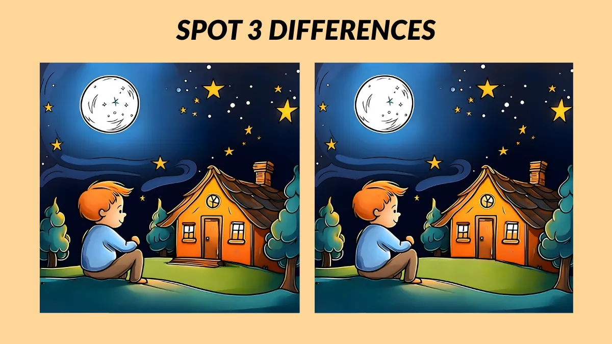 Find 3 Differences In the Boy Sitting Alone In the Starry Night Pictures