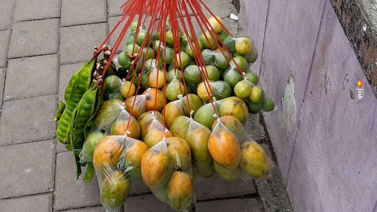 दुनिया में आम का सबसे बड़ा निर्यातक देश कौनसा है? यहाँ देखें नाम