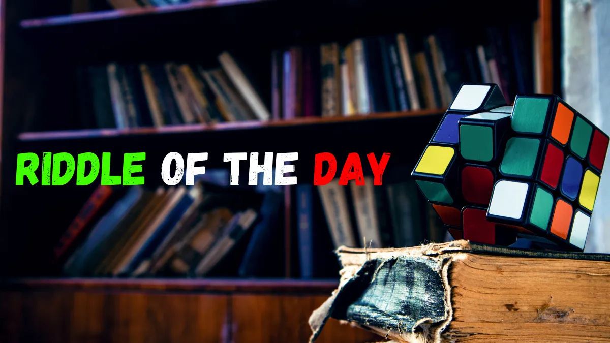 Riddle of the day