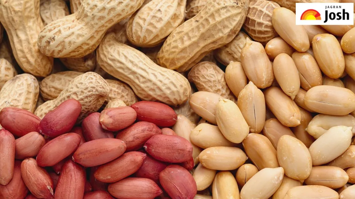 यूपी में मूंगफली का शहर