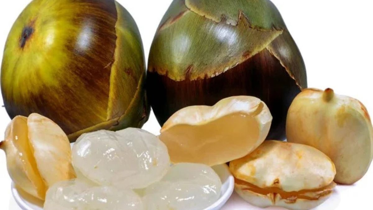 Which Country Is the Largest Producer of Ice Apple?