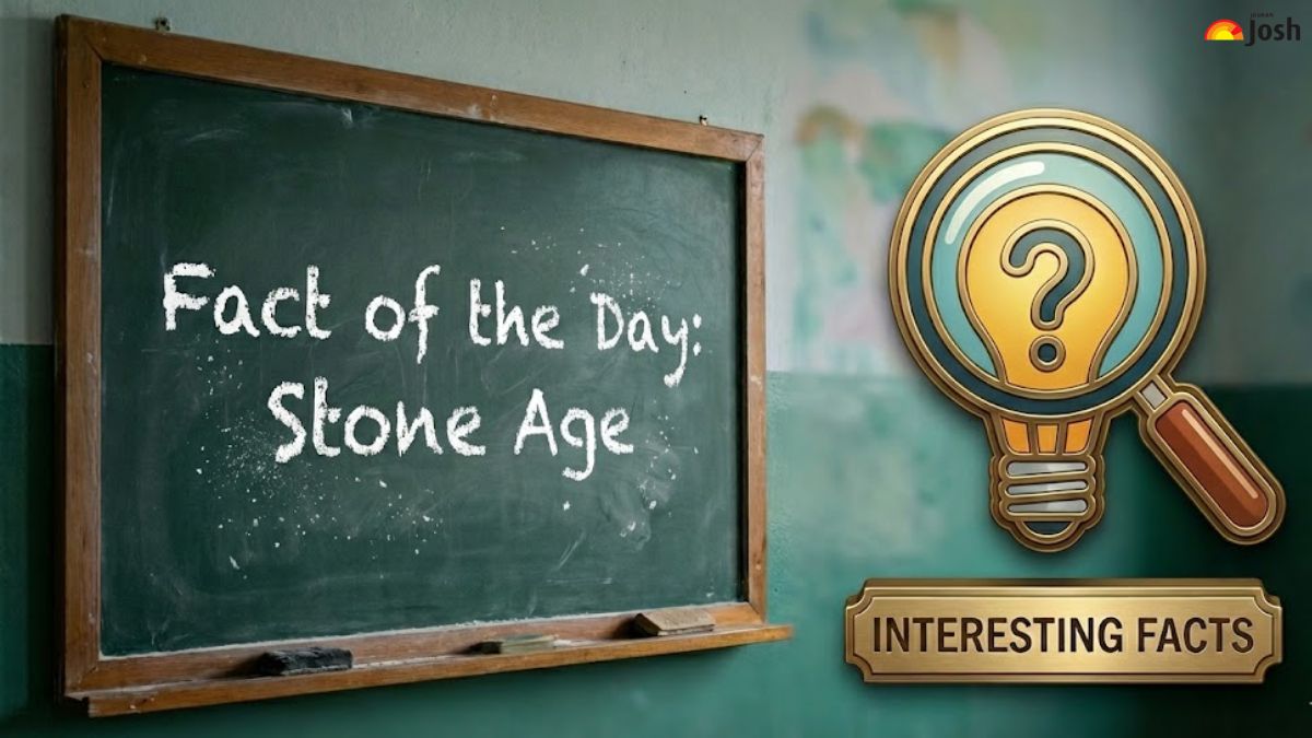 Fact of the Day: Learn about 10 Interesting Facts on the Stone Age