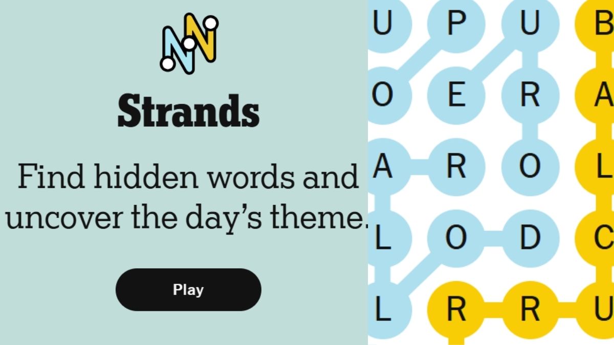 NYT Strands Today: Check Hints, Spangram, November 26, 2025!
