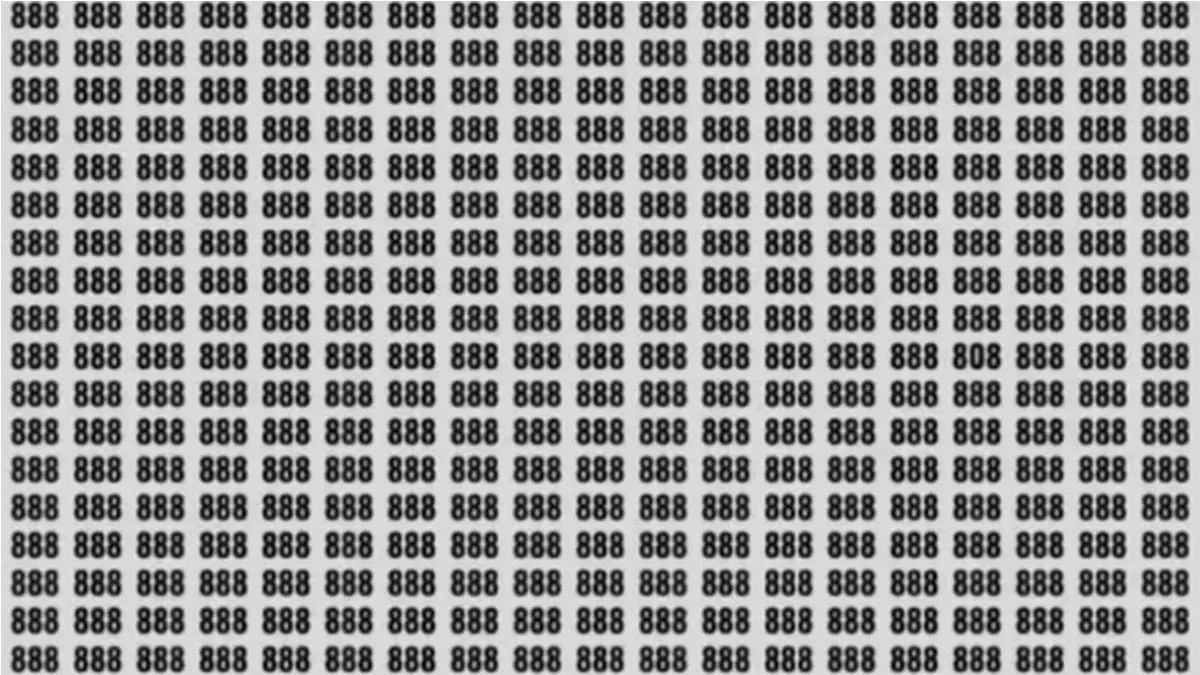 Find the hidden number 808.